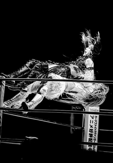 Super Tiger Suplex ASGQ