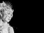 Header Stardom The Conversion